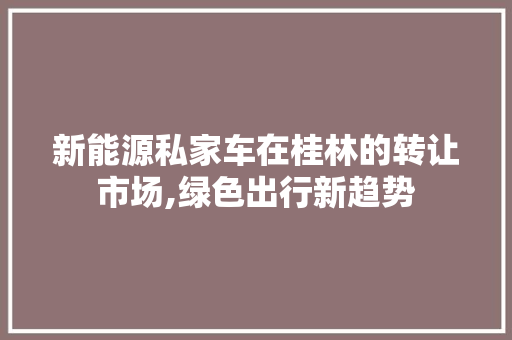 新能源私家车在桂林的转让市场,绿色出行新趋势