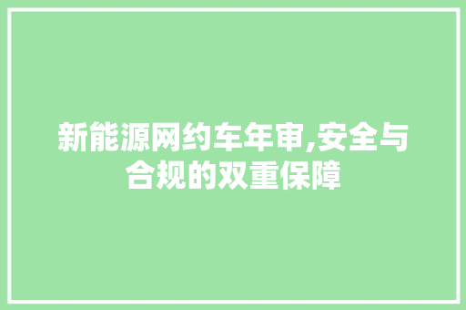 新能源网约车年审,安全与合规的双重保障