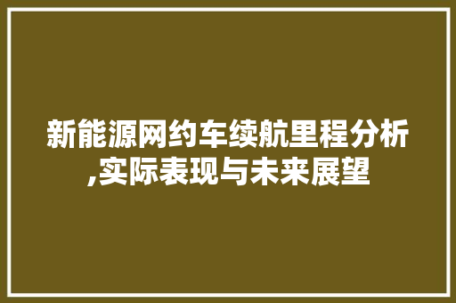 新能源网约车续航里程分析,实际表现与未来展望