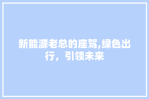 新能源老总的座驾,绿色出行，引领未来
