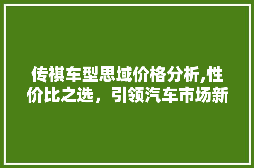 传祺车型思域价格分析,性价比之选，引领汽车市场新潮流