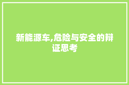 新能源车,危险与安全的辩证思考