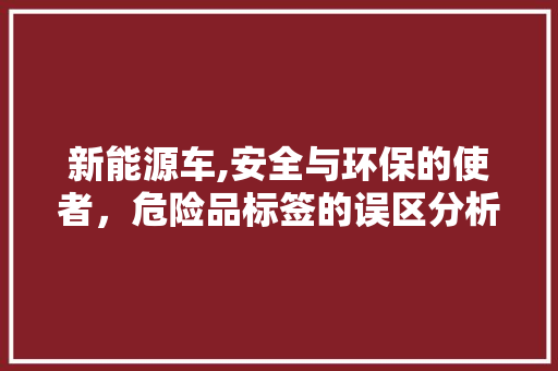 新能源车,安全与环保的使者，危险品标签的误区分析