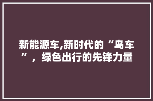 新能源车,新时代的“鸟车”，绿色出行的先锋力量