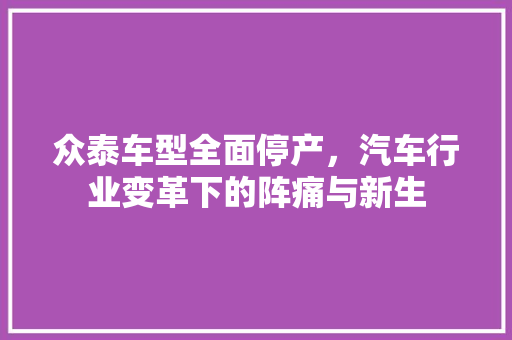 众泰车型全面停产，汽车行业变革下的阵痛与新生