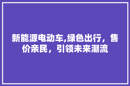 新能源电动车,绿色出行，售价亲民，引领未来潮流 车型评测