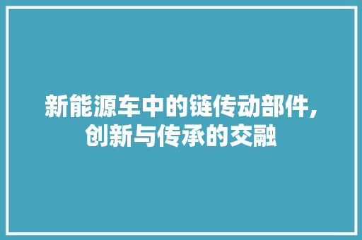 新能源车中的链传动部件,创新与传承的交融