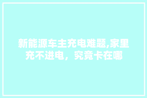 新能源车主充电难题,家里充不进电，究竟卡在哪