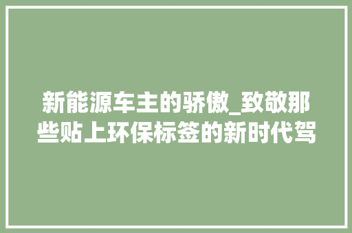 新能源车主的骄傲_致敬那些贴上环保标签的新时代驾驶者