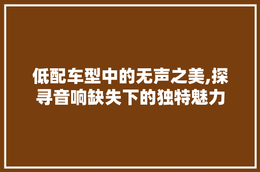 低配车型中的无声之美,探寻音响缺失下的独特魅力