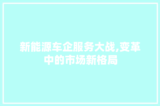 新能源车企服务大战,变革中的市场新格局