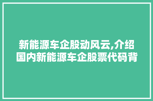 新能源车企股动风云,介绍国内新能源车企股票代码背后的商业传奇