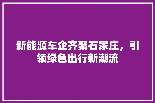 新能源车企齐聚石家庄，引领绿色出行新潮流