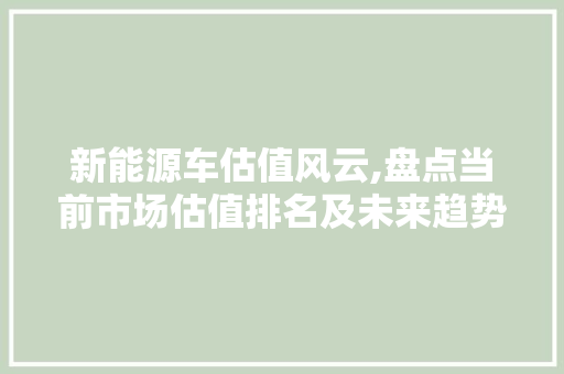 新能源车估值风云,盘点当前市场估值排名及未来趋势