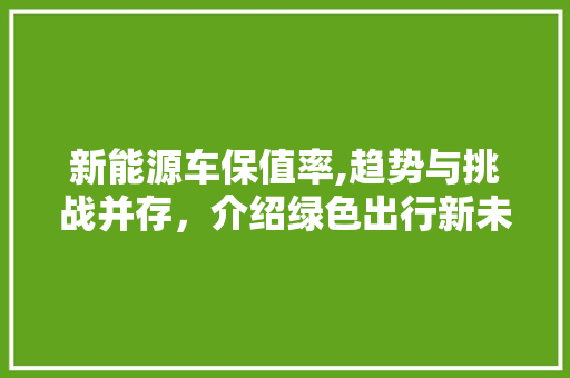 新能源车保值率,趋势与挑战并存，介绍绿色出行新未来