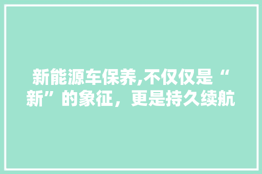 新能源车保养,不仅仅是“新”的象征，更是持久续航的保障