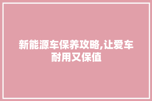 新能源车保养攻略,让爱车耐用又保值
