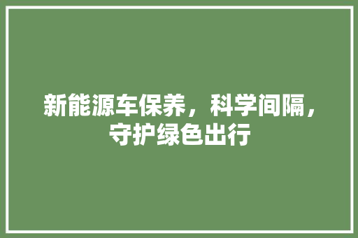 新能源车保养，科学间隔，守护绿色出行