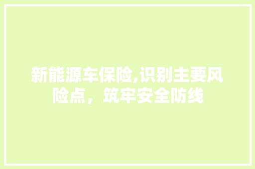 新能源车保险,识别主要风险点，筑牢安全防线