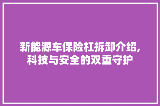 新能源车保险杠拆卸介绍,科技与安全的双重守护 新能源汽车