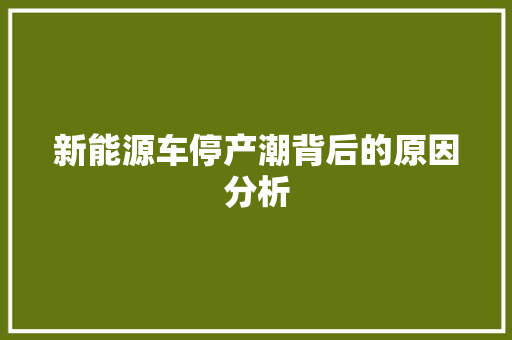 新能源车停产潮背后的原因分析