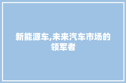 新能源车,未来汽车市场的领军者
