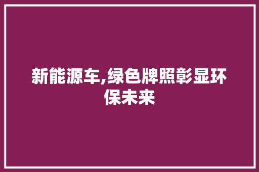 新能源车,绿色牌照彰显环保未来