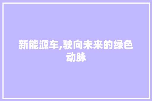 新能源车,驶向未来的绿色动脉 车载导航