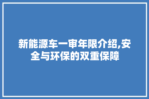 新能源车一审年限介绍,安全与环保的双重保障