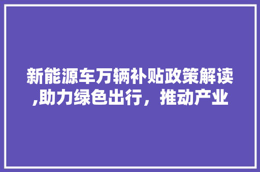 新能源车万辆补贴政策解读,助力绿色出行，推动产业升级 混合动力车