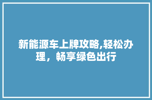 新能源车上牌攻略,轻松办理，畅享绿色出行