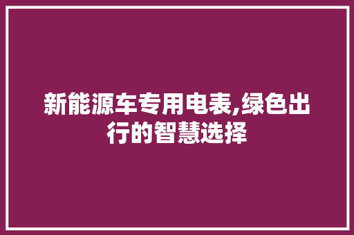 新能源车专用电表,绿色出行的智慧选择