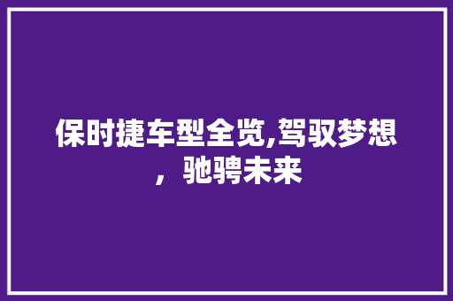 保时捷车型全览,驾驭梦想，驰骋未来