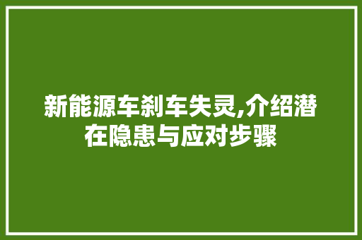 新能源车刹车失灵,介绍潜在隐患与应对步骤
