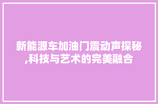 新能源车加油门震动声探秘,科技与艺术的完美融合
