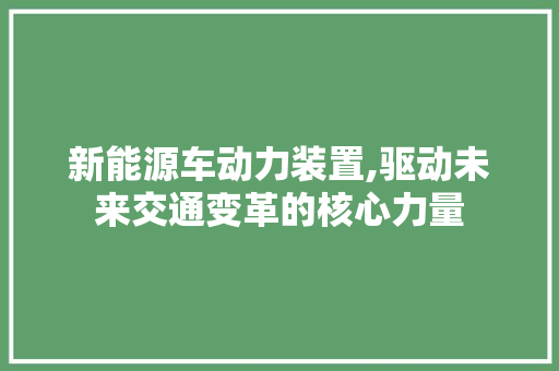 新能源车动力装置,驱动未来交通变革的核心力量