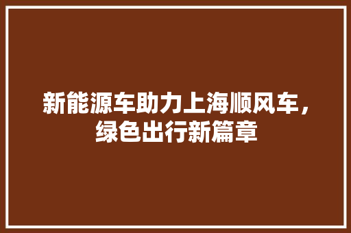 新能源车助力上海顺风车，绿色出行新篇章