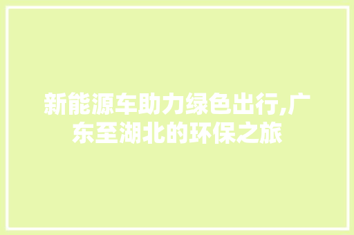 新能源车助力绿色出行,广东至湖北的环保之旅
