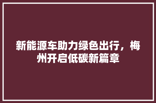 新能源车助力绿色出行，梅州开启低碳新篇章 汽车保养