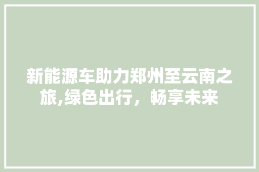 新能源车助力郑州至云南之旅,绿色出行，畅享未来