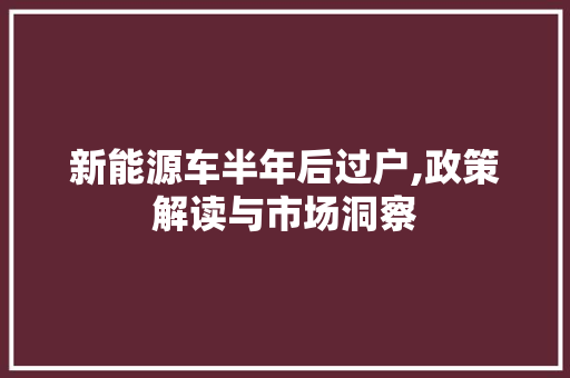 新能源车半年后过户,政策解读与市场洞察