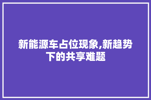 新能源车占位现象,新趋势下的共享难题
