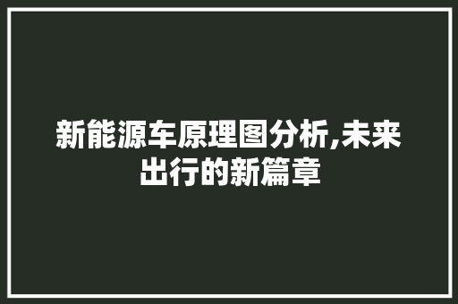 新能源车原理图分析,未来出行的新篇章