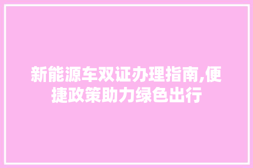新能源车双证办理指南,便捷政策助力绿色出行