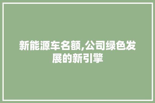 新能源车名额,公司绿色发展的新引擎