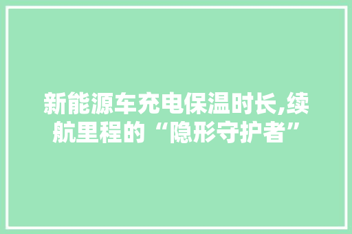 新能源车充电保温时长,续航里程的“隐形守护者”