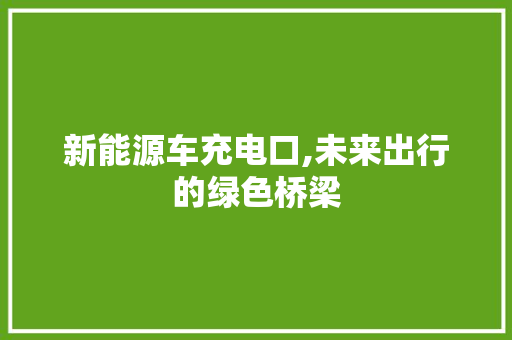新能源车充电口,未来出行的绿色桥梁