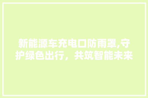 新能源车充电口防雨罩,守护绿色出行，共筑智能未来
