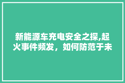 新能源车充电安全之探,起火事件频发，如何防范于未“燃”