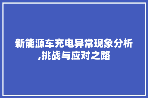 新能源车充电异常现象分析,挑战与应对之路 汽车配件